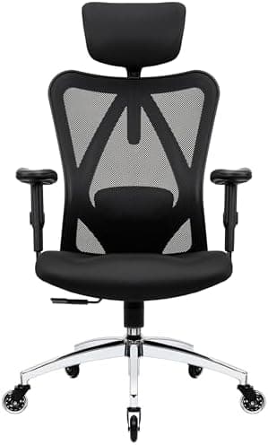 Duramont ergonomic chair with adjustable lumbar support